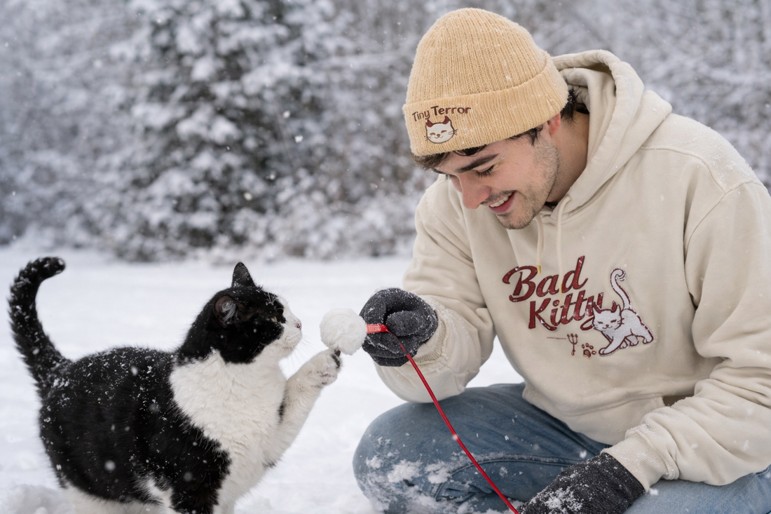 Do Cats Like Snow? How Felines Experience Winter (and How to Stay Cozy Together)