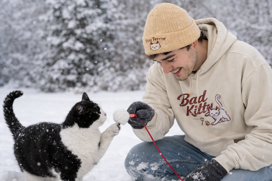 Do Cats Like Snow? How Felines Experience Winter (and How to Stay Cozy Together)