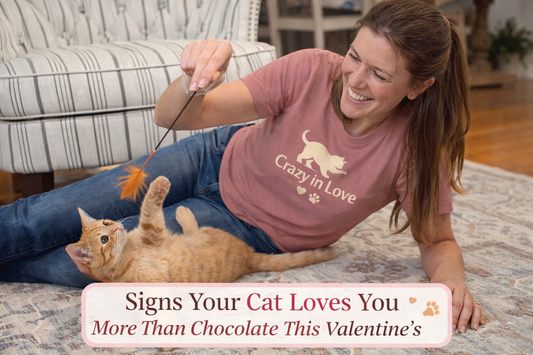 Signs Your Cat Loves You More Than Chocolate This Valentine’s
