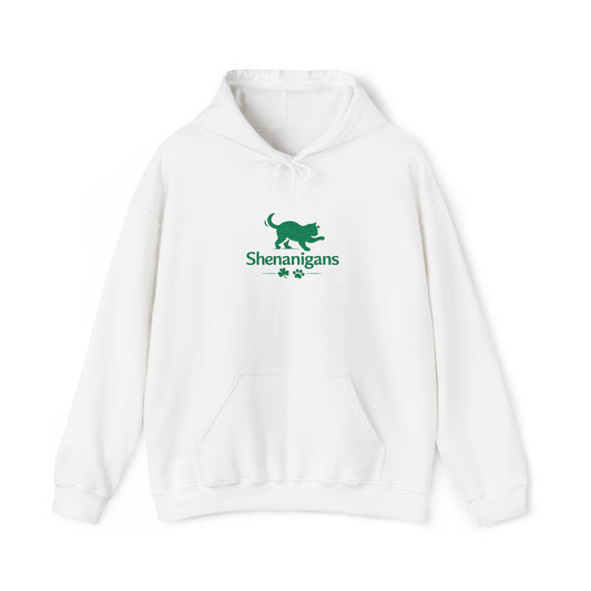 Shenanigans Embroidered Cat Hoodie – Cozy St. Patrick’s Day Pullover